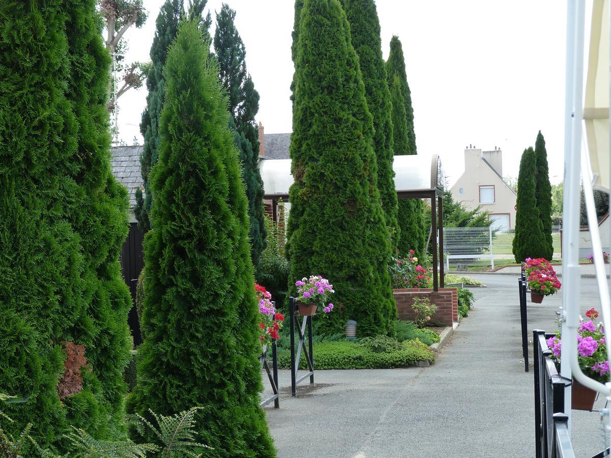 Hostellerie Du Chateau Saint-Pere-sur-Loire ภายนอก รูปภาพ